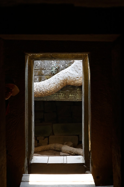 Ta Phrom et environs-126